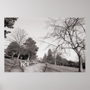 Pôster Bell Vue Park, Newport, Mon (Dez. 1977)