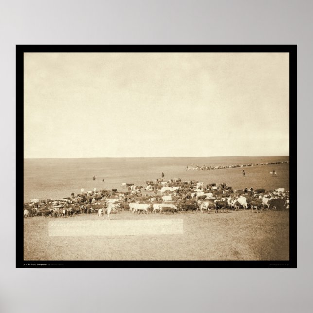 Pôster Belle Fouche Cowboy Round-Up SD 1887 (Frente)