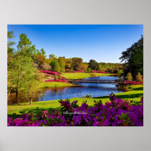 Poster Bellingrath Gardens, Alabama,