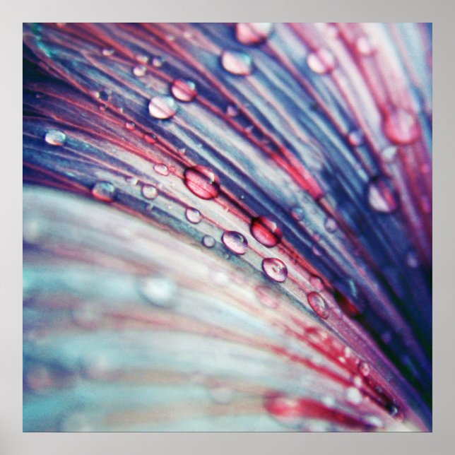 Poster Belo Abstrato cor-de-rosa-azul brilhante (Frente)