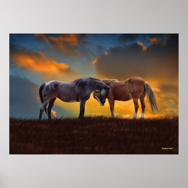Poster Belo Blue Roan e Palomino Hormonas Sunset (Frente)
