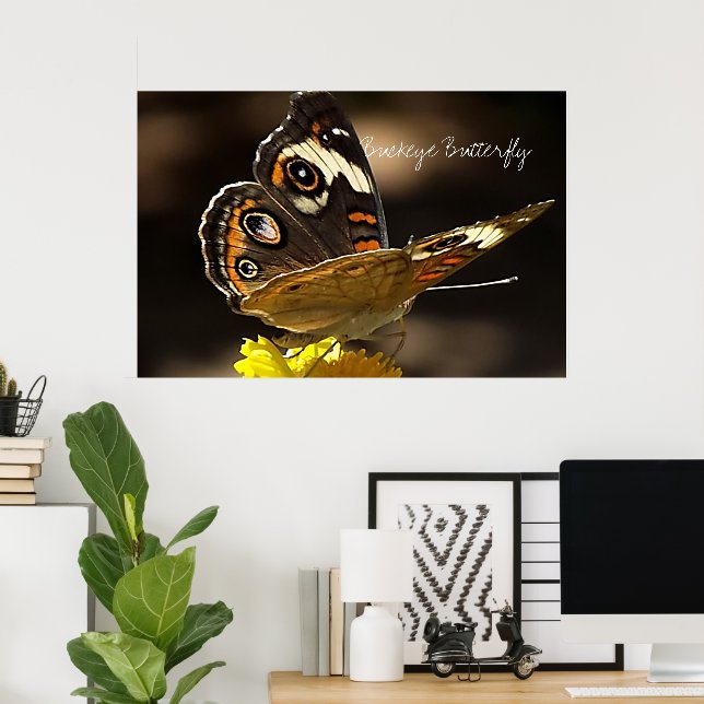 Poster Belo Buckeye Butterfly em uma Flor Amarela (Escritório em casa)