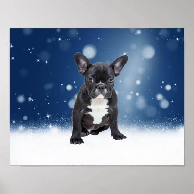 Poster Belo Buldogue Francês Estrelas de Neve Azul Natal (Frente)