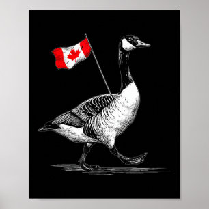 Poster Belo Canadá Animal Com Bandeira Para Alas De Ganso