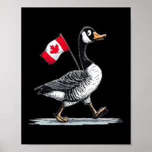 Poster Belo Canadá Olhando Animal Com Ganso Legal
