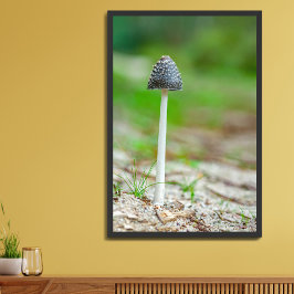 Poster Belo cogumelo selvagem em um campo de outono