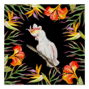 Pôster Belo desenho de papagaio de aquarela