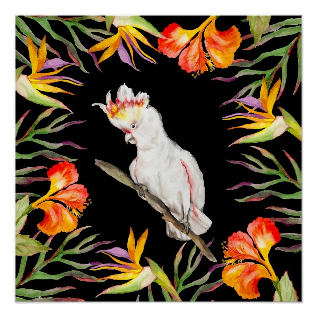 Pôster Belo desenho de papagaio de aquarela (Frente)