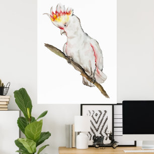 Poster Belo desenho de papagaios de aquarela