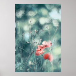 Poster Belo Elegante Abstrato Dreamy Poppies Flores