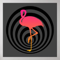 Belo flamingo em círculos