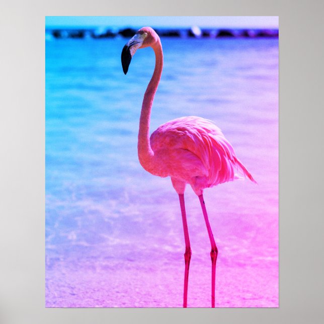 Poster Belo Flamingo na Água em uma Praia (Frente)