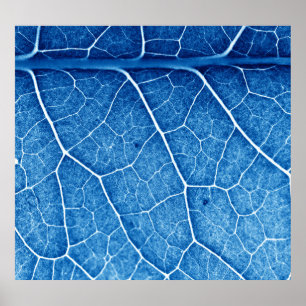 Poster Belo fundo de textura de encerramento da planta