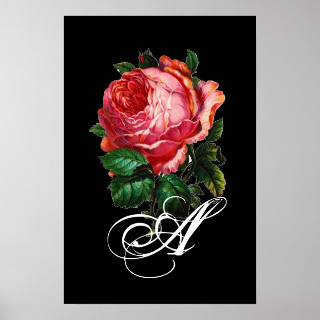 POSTER BELO MONOGRAMA DE ROSE DE PINCO (Frente)