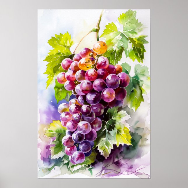 Poster Belo Monte de Uvas Aquarela (Frente)