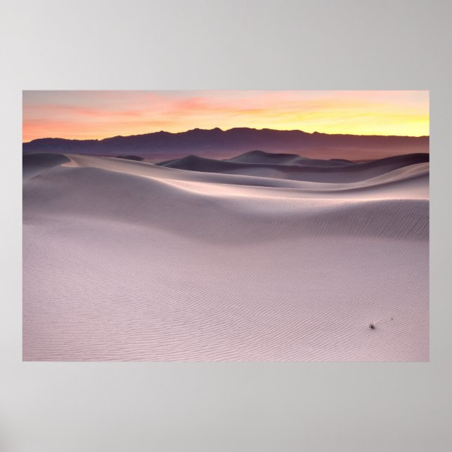 Pôster Belo nascer do sol sobre dunas do deserto (Frente)