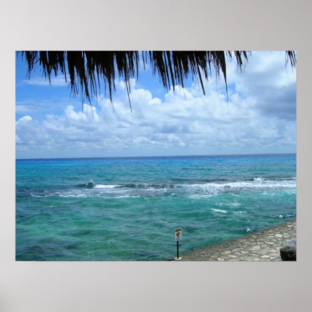 Pôster Belo Oceanview (Frente)