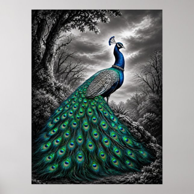 Poster Belo Pavão Místico (Frente)