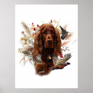 Poster Belo Red Setter Irlandês