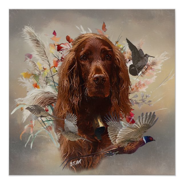 Pôster Belo Red Setter Irlandês (Frente)