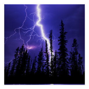 Pôster belo trovão sobre a floresta