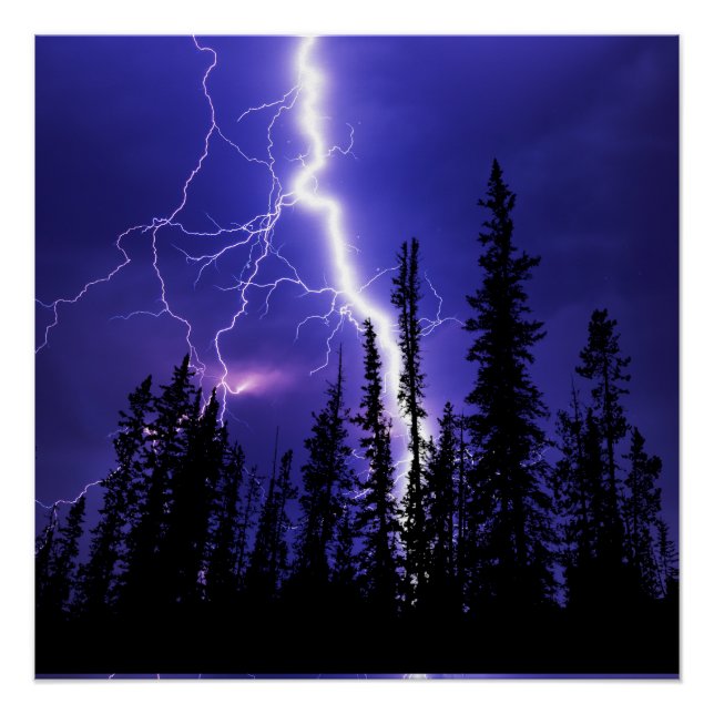 Pôster belo trovão sobre a floresta (Frente)