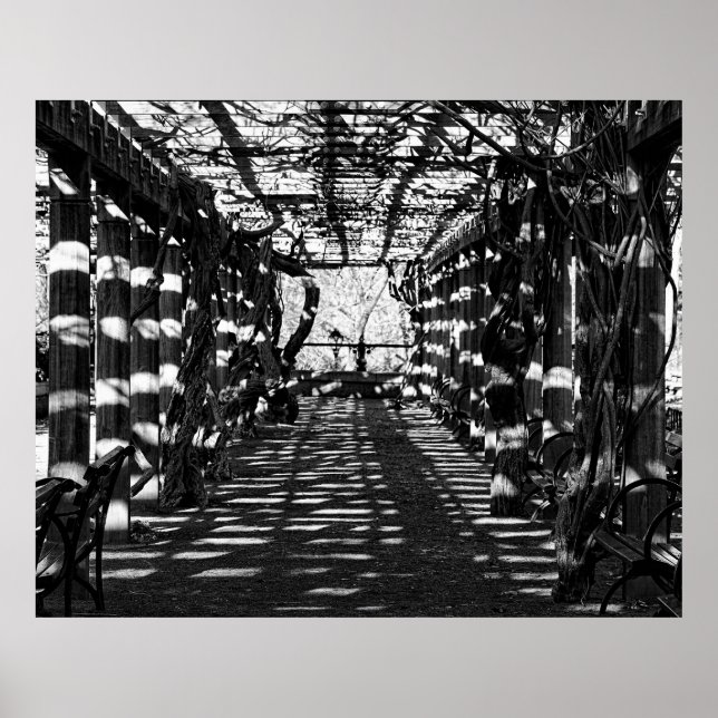 Poster Belo Vista no Central Park, Nova Iorque (Frente)