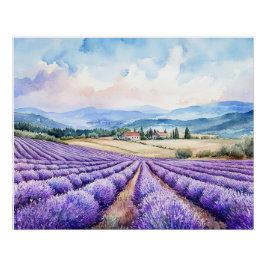 Pôster Belos campos de lavanda Cartaz brilhante