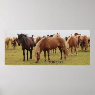 Poster Belos cavalos castanhos