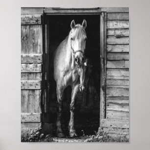 Poster Belos Cavalos Preto e Branco Farmhouse Rústico