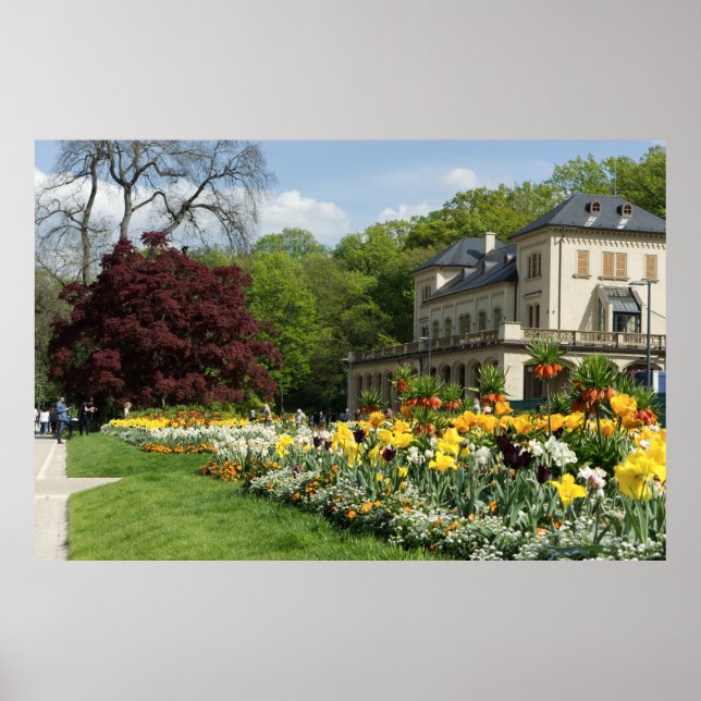 Poster Belos Flores E Casa (Frente)