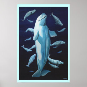 Pôster Beluga Whale Art Print Marinelife Whale Painting