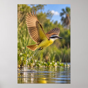 Poster Bem-te-vi em Voo – Vale do Baixo Rio Grande