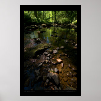 Pôster Bem-vindo à selva