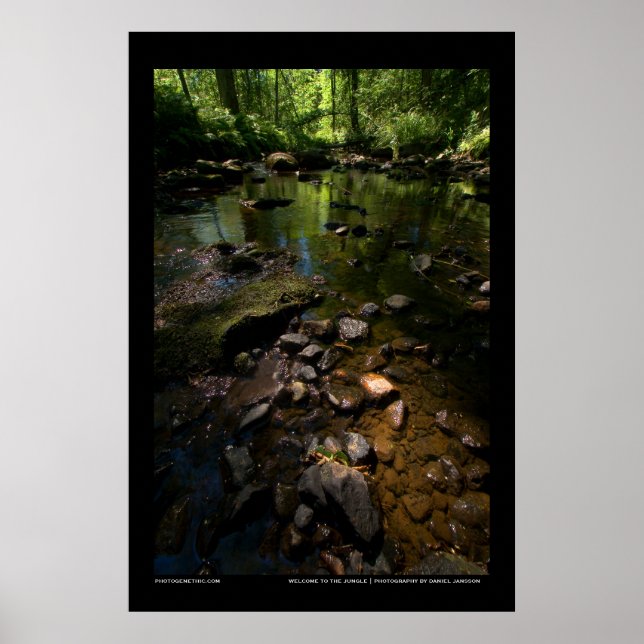 Pôster Bem-vindo à selva (Frente)