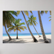 Bem-vindo ao Paraíso