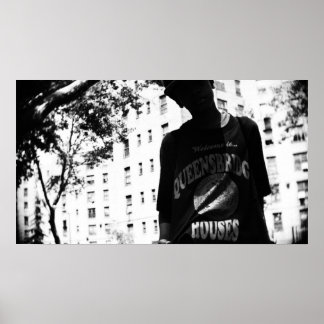 Poster Bem-vindo às Casas Queensbridge II pela Avi Avnair