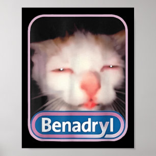 Poster Benadryl Meme Cat Engraçados Gatos Adolescentes Ca