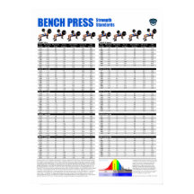 Bench Press Standards - Pounds