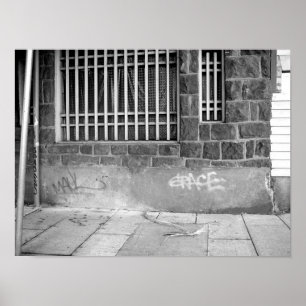 Pôster Benevolência