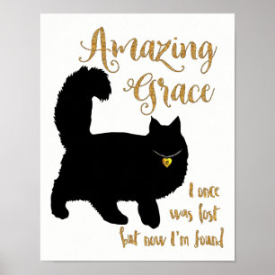Pôster Benevolência surpreendente gato salvado