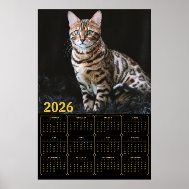 Poster Bengal Cat 2026 Calendar (Frente)