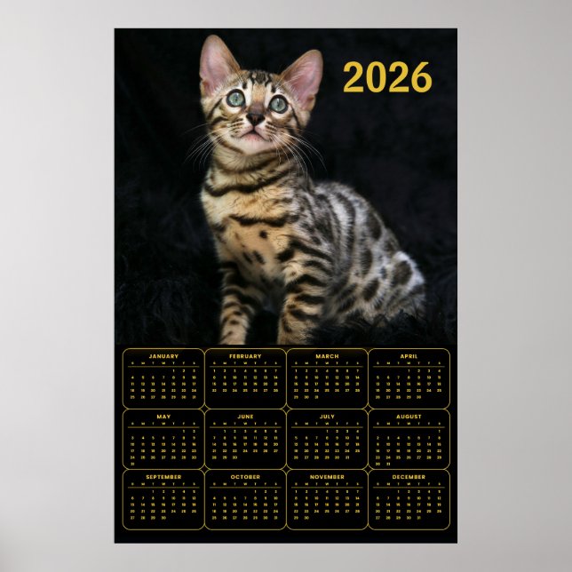 Poster Bengal Cat 2026 Calendar (Frente)