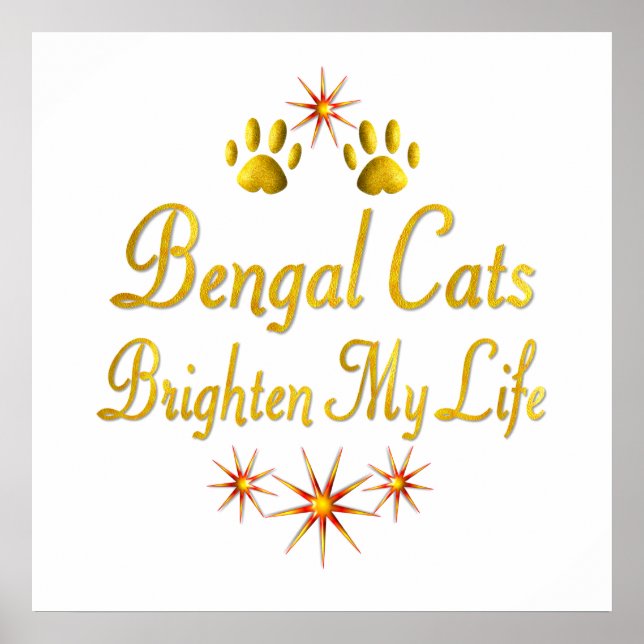 Pôster Bengala Cats Brighes My Life (Frente)