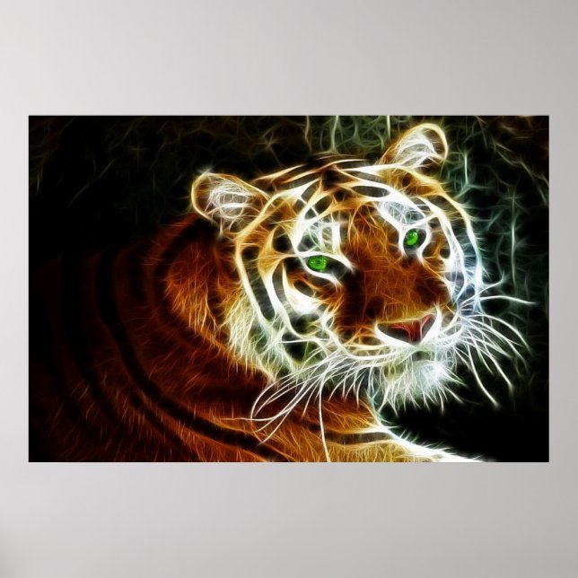 Poster Bengala Tiger Glower 2 (Frente)