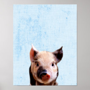 Poster Berçário Minimalista com Porquinho Azul Pastel Esp