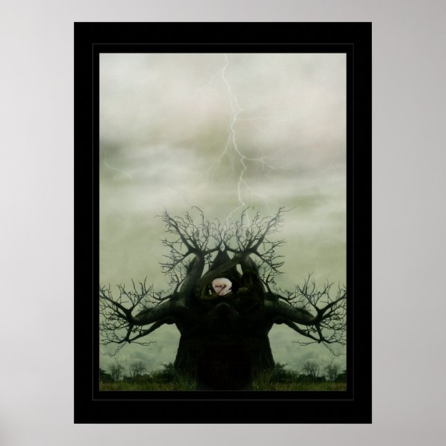 Pôster Berço da Vida (Frente)