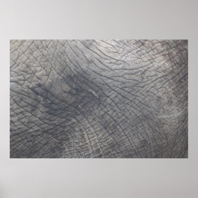 Poster Berlim (Frente)