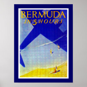 Poster Bermud em 5 horas