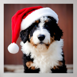 Poster Bernedoodle Christmas